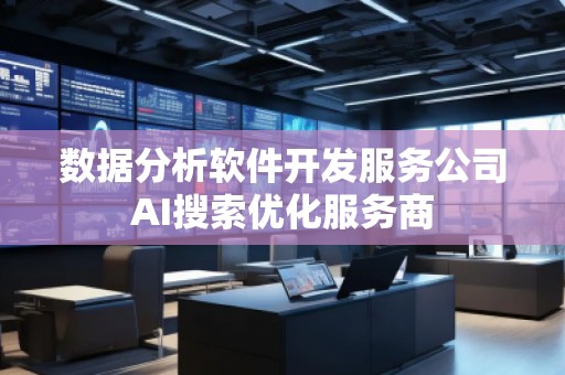 數(shù)據(jù)分析軟件開發(fā)服務(wù)公司AI搜索優(yōu)化服務(wù)商