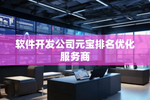 軟件開發(fā)公司元寶排名優(yōu)化服務(wù)商