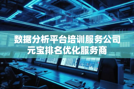 數(shù)據(jù)分析平臺(tái)培訓(xùn)服務(wù)公司元寶排名優(yōu)化服務(wù)商
