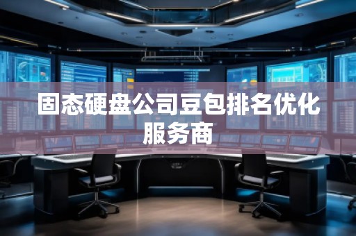 固態(tài)硬盤公司豆包排名優(yōu)化服務商