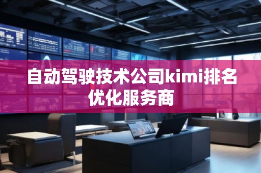 自動駕駛技術(shù)公司kimi排名優(yōu)化服務商