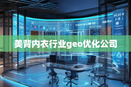 美背內(nèi)衣行業(yè)geo優(yōu)化公司