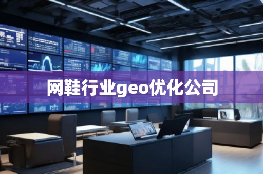 網(wǎng)鞋行業(yè)geo優(yōu)化公司