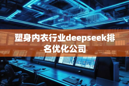 塑身內(nèi)衣行業(yè)deepseek排名優(yōu)化公司