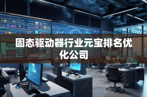 固態(tài)驅(qū)動(dòng)器行業(yè)元寶排名優(yōu)化公司