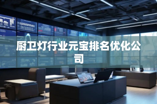 廚衛(wèi)燈行業(yè)元寶排名優(yōu)化公司