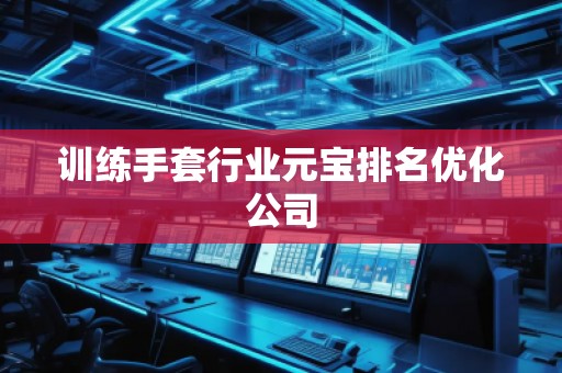 訓(xùn)練手套行業(yè)元寶排名優(yōu)化公司