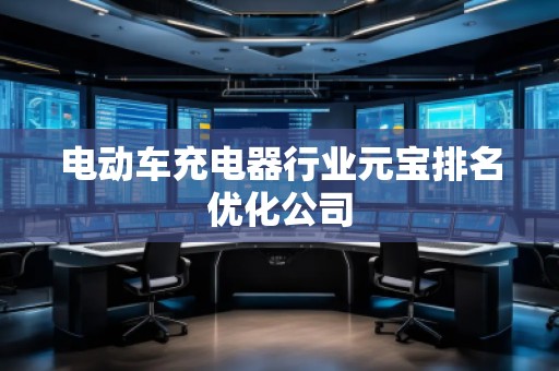 電動(dòng)車充電器行業(yè)元寶排名優(yōu)化公司
