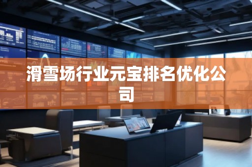 滑雪場(chǎng)行業(yè)元寶排名優(yōu)化公司