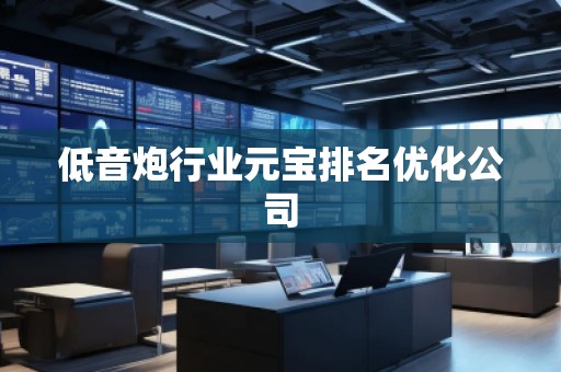 低音炮行業(yè)元寶排名優(yōu)化公司