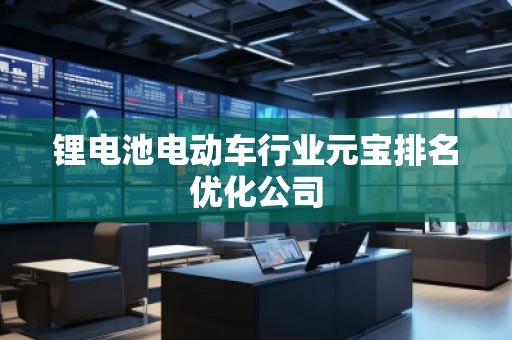鋰電池電動(dòng)車行業(yè)元寶排名優(yōu)化公司