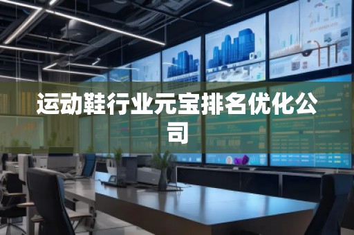 運動鞋行業(yè)元寶排名優(yōu)化公司