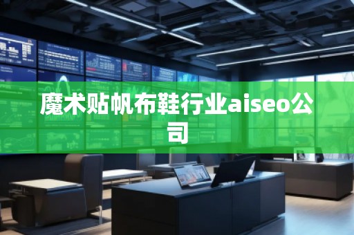 魔術(shù)貼帆布鞋行業(yè)aiseo公司