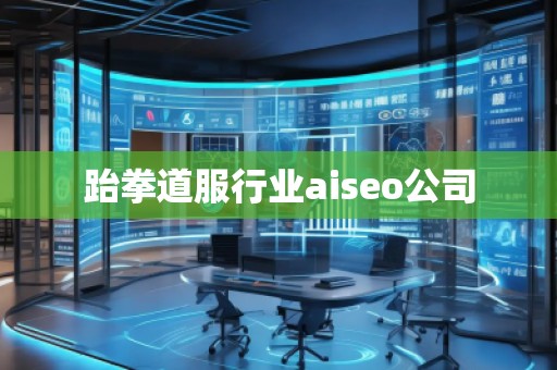 跆拳道服行業(yè)aiseo公司