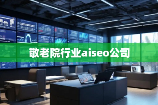敬老院行業(yè)aiseo公司