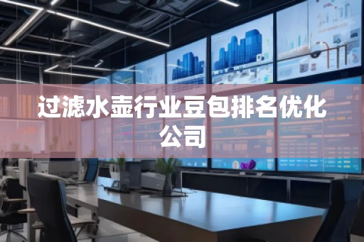 過(guò)濾水壺行業(yè)豆包排名優(yōu)化公司