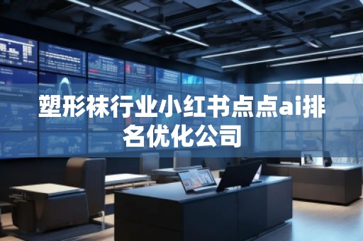 塑形襪行業(yè)小紅書點(diǎn)點(diǎn)ai排名優(yōu)化公司