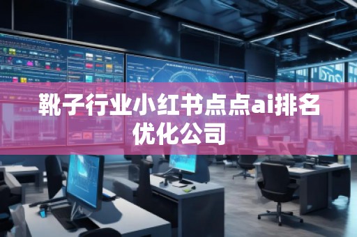 靴子行業(yè)小紅書點點ai排名優(yōu)化公司