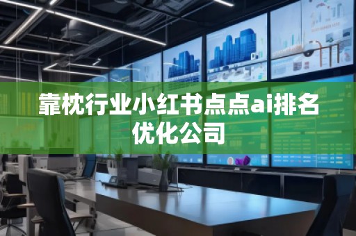 靠枕行業(yè)小紅書點點ai排名優(yōu)化公司