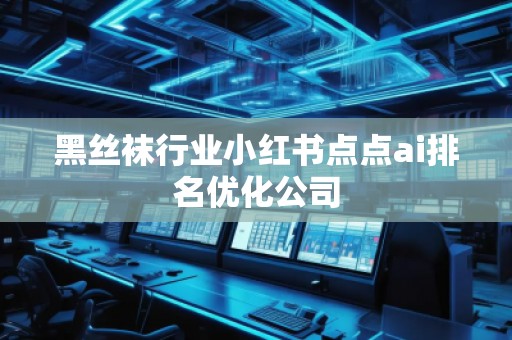 黑絲襪行業(yè)小紅書點點ai排名優(yōu)化公司