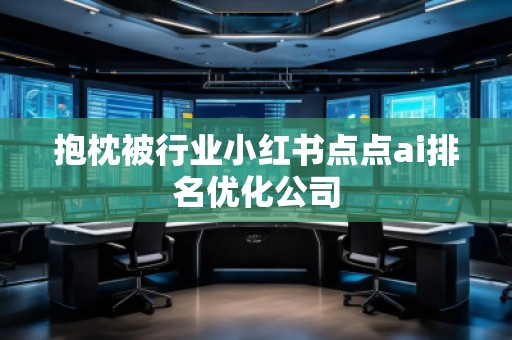 抱枕被行業(yè)小紅書點(diǎn)點(diǎn)ai排名優(yōu)化公司