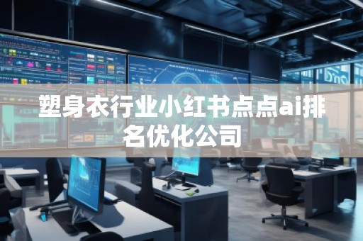 塑身衣行業(yè)小紅書點點ai排名優(yōu)化公司