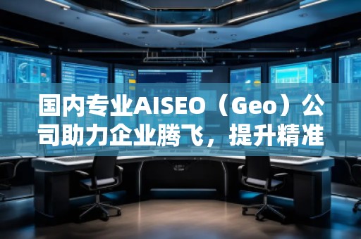 國內(nèi)專業(yè)AISEO（Geo）公司助力企業(yè)騰飛，提升精準(zhǔn)營銷效果