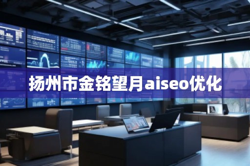 揚州市金銘望月aiseo優(yōu)化