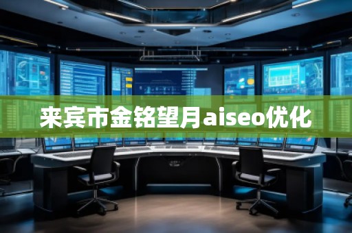 來賓市金銘望月aiseo優(yōu)化