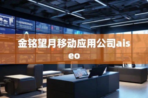 金銘望月移動(dòng)應(yīng)用公司aiseo