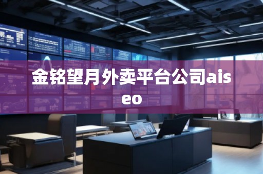 金銘望月外賣平臺(tái)公司aiseo