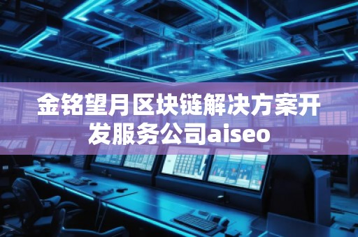金銘望月區(qū)塊鏈解決方案開發(fā)服務公司aiseo