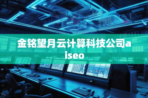 金銘望月云計算科技公司aiseo