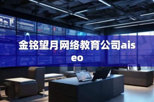 金銘望月網(wǎng)絡(luò)教育公司aiseo