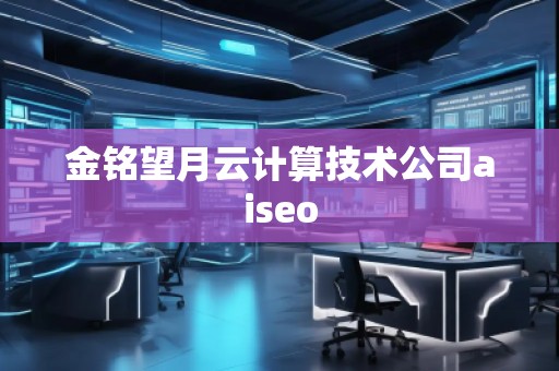 金銘望月云計算技術(shù)公司aiseo