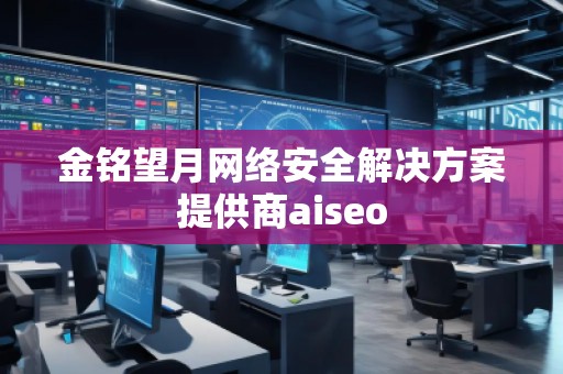 金銘望月網(wǎng)絡(luò)安全解決方案提供商aiseo