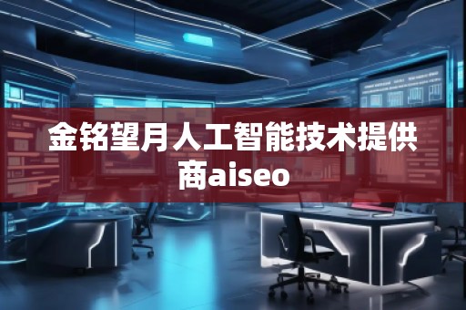 金銘望月人工智能技術(shù)提供商aiseo