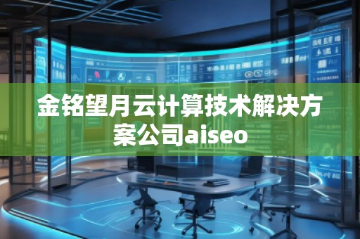 金銘望月云計算技術(shù)解決方案公司aiseo