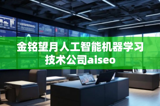金銘望月人工智能機(jī)器學(xué)習(xí)技術(shù)公司aiseo