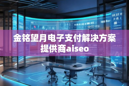 金銘望月電子支付解決方案提供商aiseo