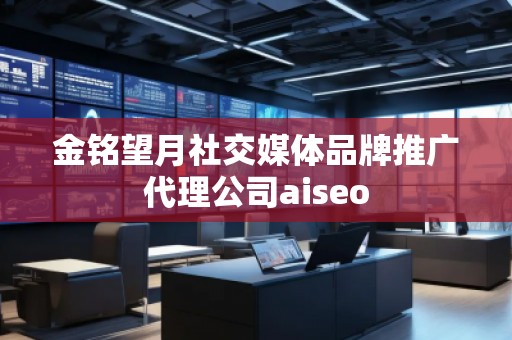 金銘望月社交媒體品牌推廣代理公司aiseo 金銘望月社交媒體品牌推廣代理公司aiseo