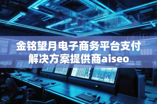 金銘望月電子商務平臺支付解決方案提供商aiseo