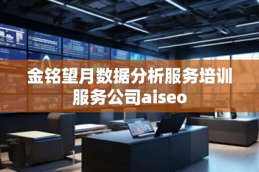 金銘望月數(shù)據(jù)分析服務培訓服務公司aiseo