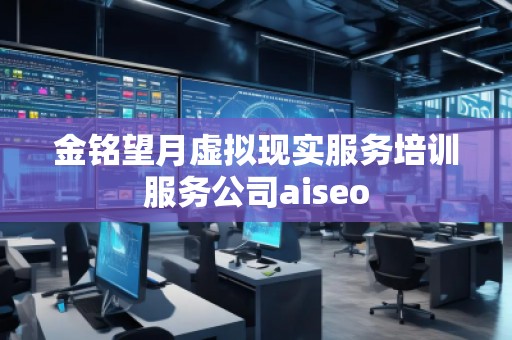 金銘望月虛擬現(xiàn)實(shí)服務(wù)培訓(xùn)服務(wù)公司aiseo