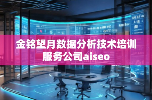 金銘望月數(shù)據(jù)分析技術(shù)培訓(xùn)服務(wù)公司aiseo