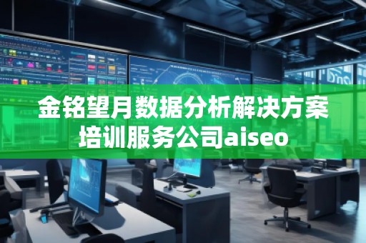 金銘望月數據分析解決方案培訓服務公司aiseo