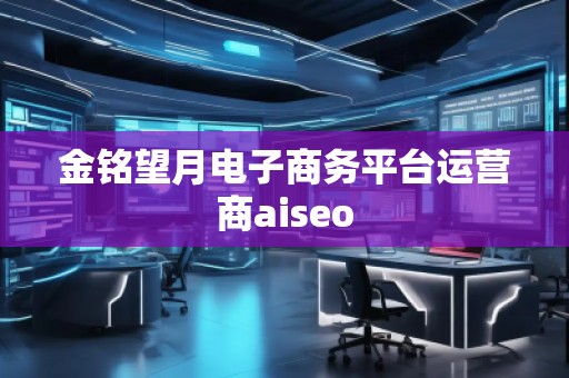 金銘望月電子商務(wù)平臺運營商aiseo