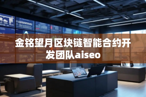 金銘望月區(qū)塊鏈智能合約開(kāi)發(fā)團(tuán)隊(duì)aiseo