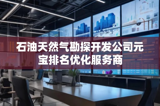 石油天然氣勘探開發(fā)公司元寶排名優(yōu)化服務(wù)商